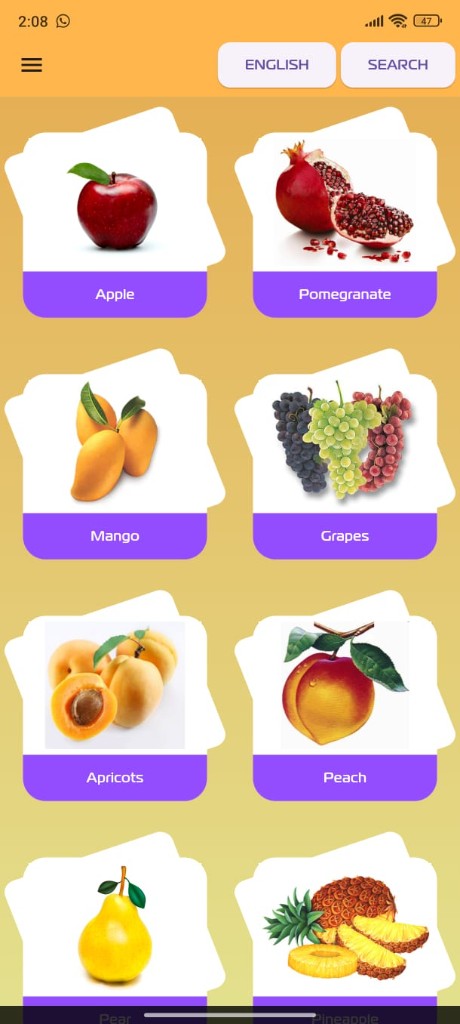 Picture Dictionary app fruit vocabulary grid