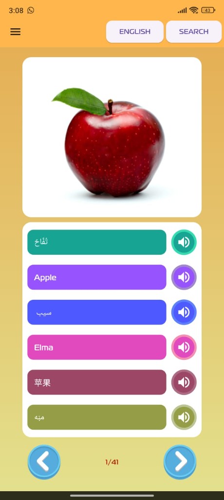Picture Dictionary word detail with multilingual audio pronunciation
